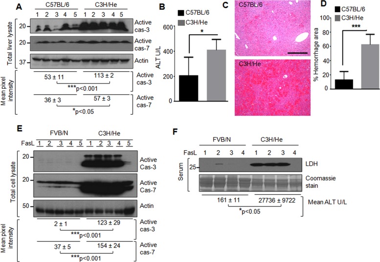 FIGURE 3: