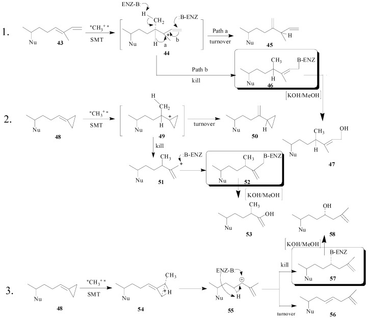 Scheme 6