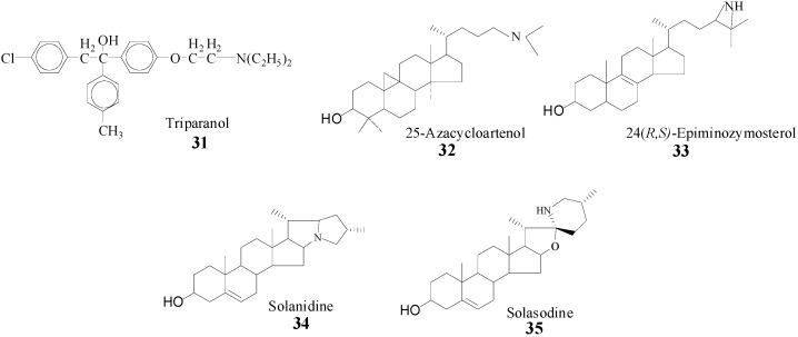 Scheme 4