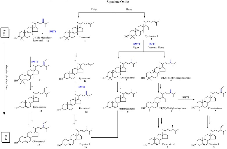 Scheme 1