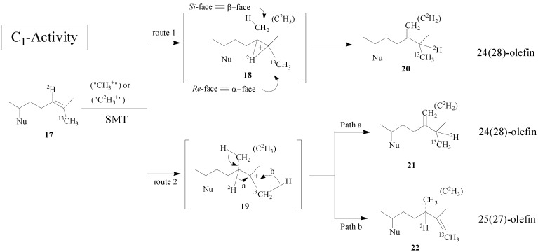 Scheme 2