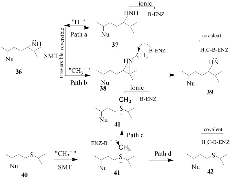 Scheme 5