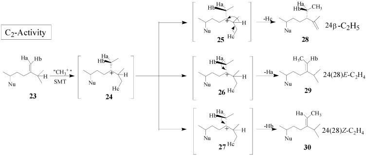 Scheme 3