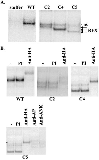 FIG. 6