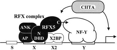 FIG. 1