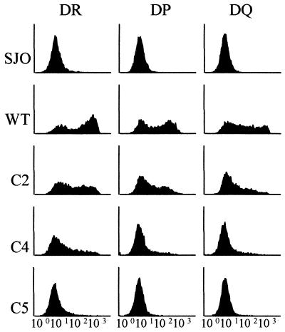 FIG. 5