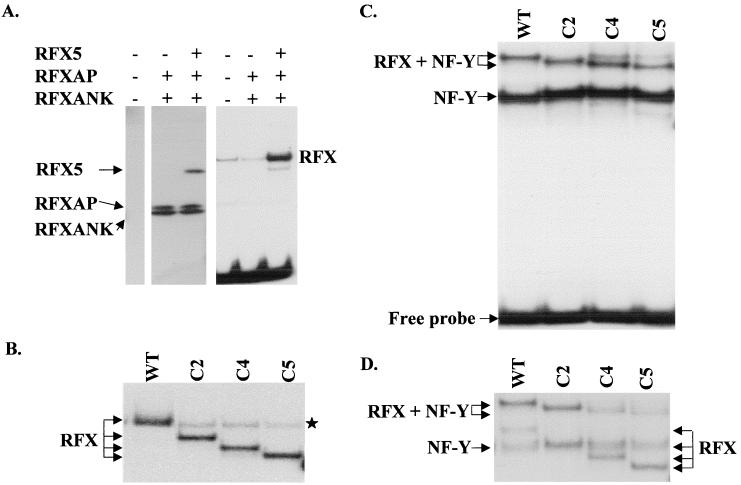 FIG. 7