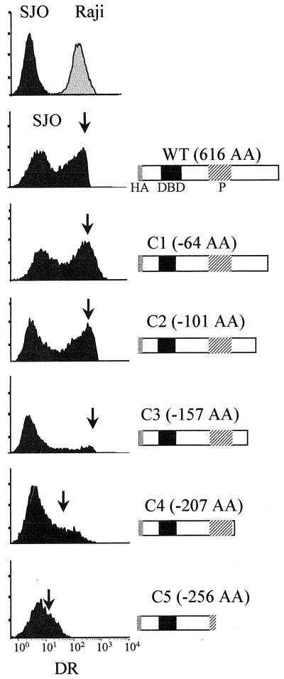 FIG. 3