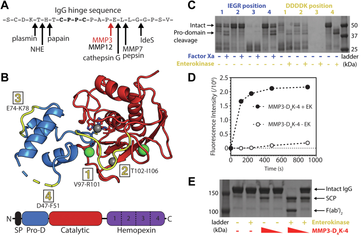 Figure 5