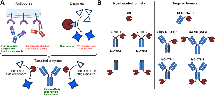 Figure 1