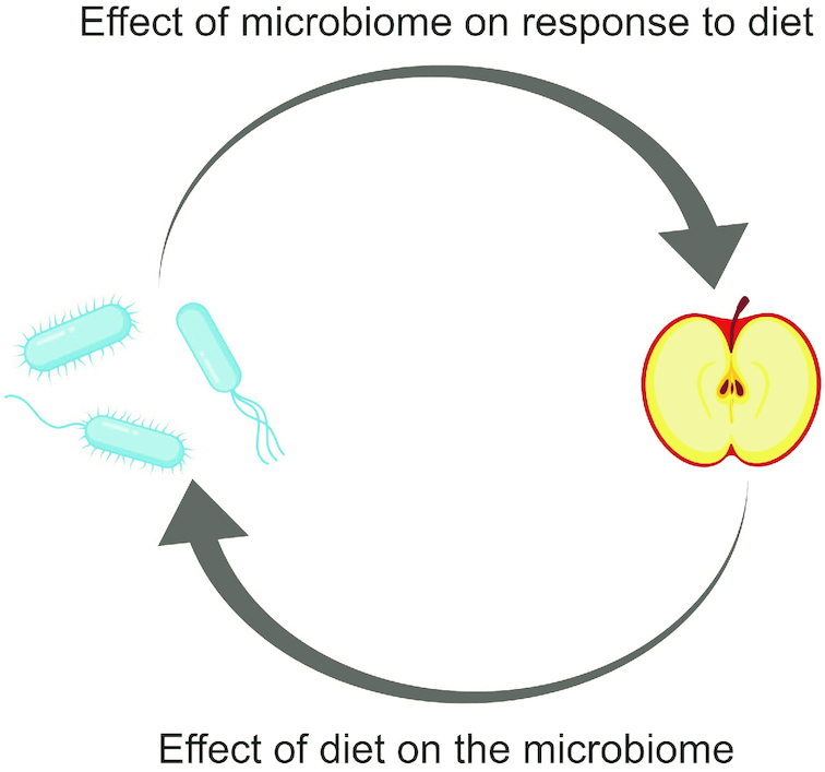 FIGURE 3