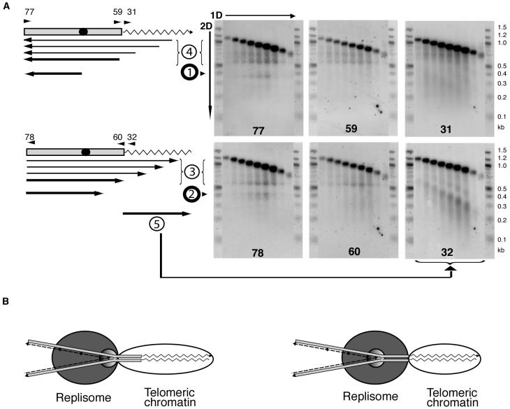 FIG. 9.