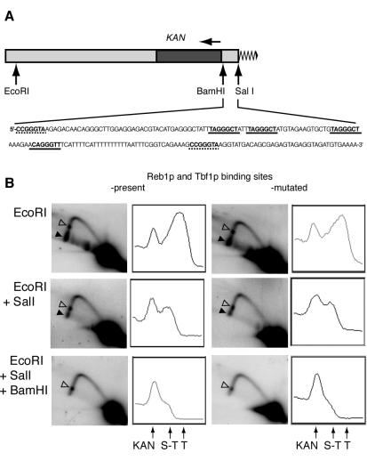 FIG. 8.