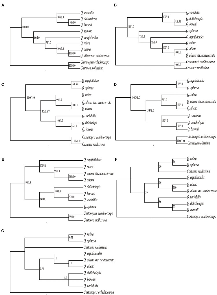 FIGURE 6