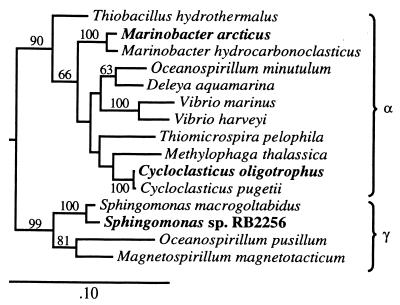 FIG. 6