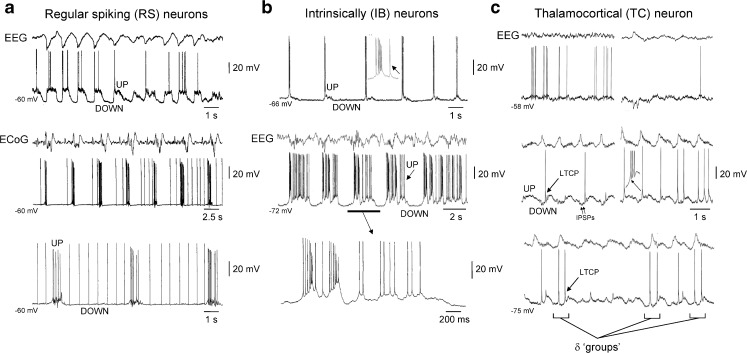 Fig. 2