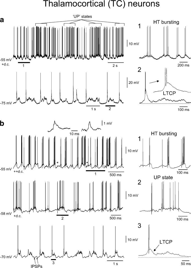 Fig. 10