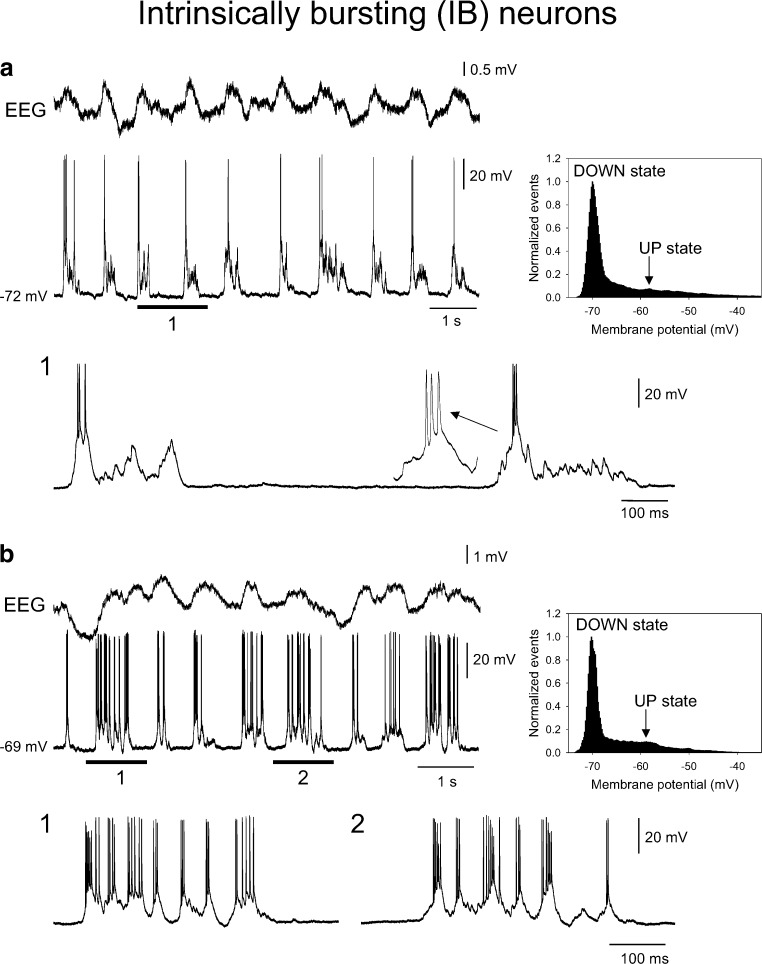 Fig. 7