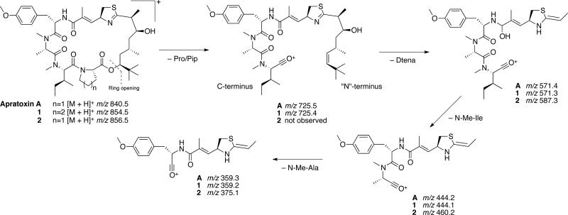 Scheme 1