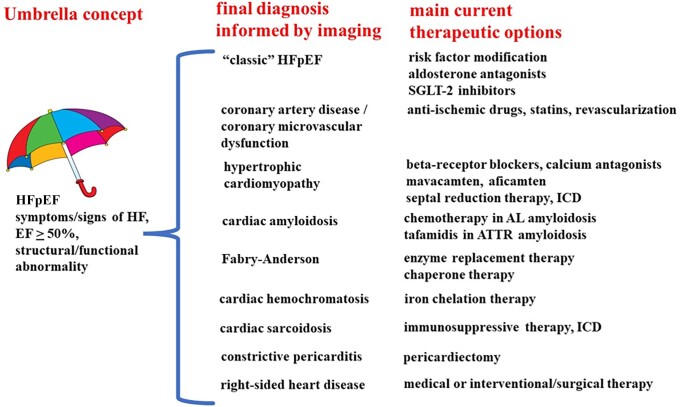 Graphical Abstract