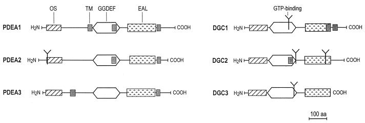 FIG. 6