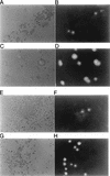 FIG. 6