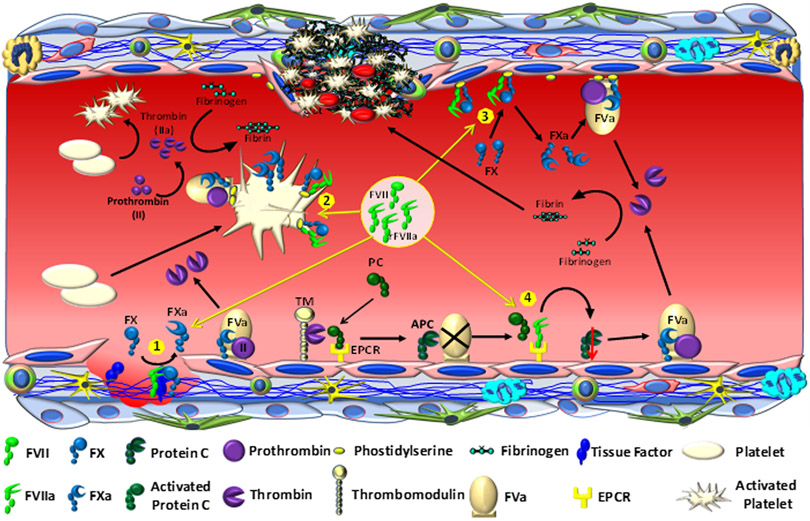 FIGURE 6.