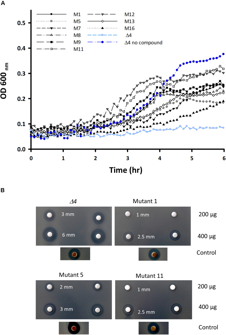 FIGURE 3