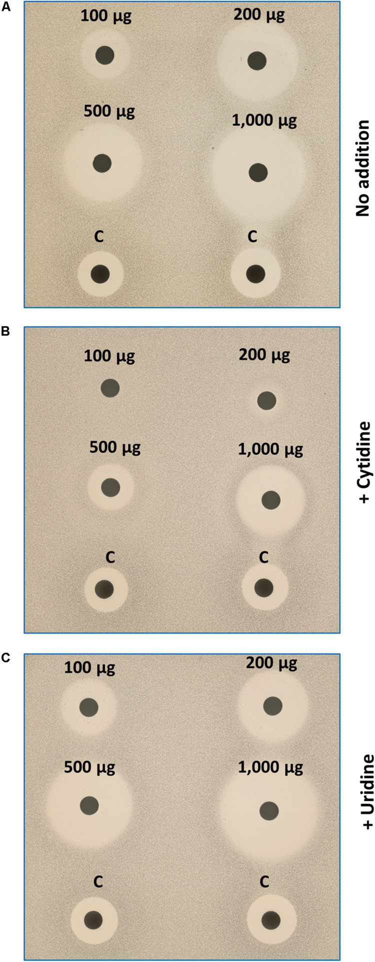 FIGURE 5