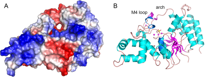 Figure 7.