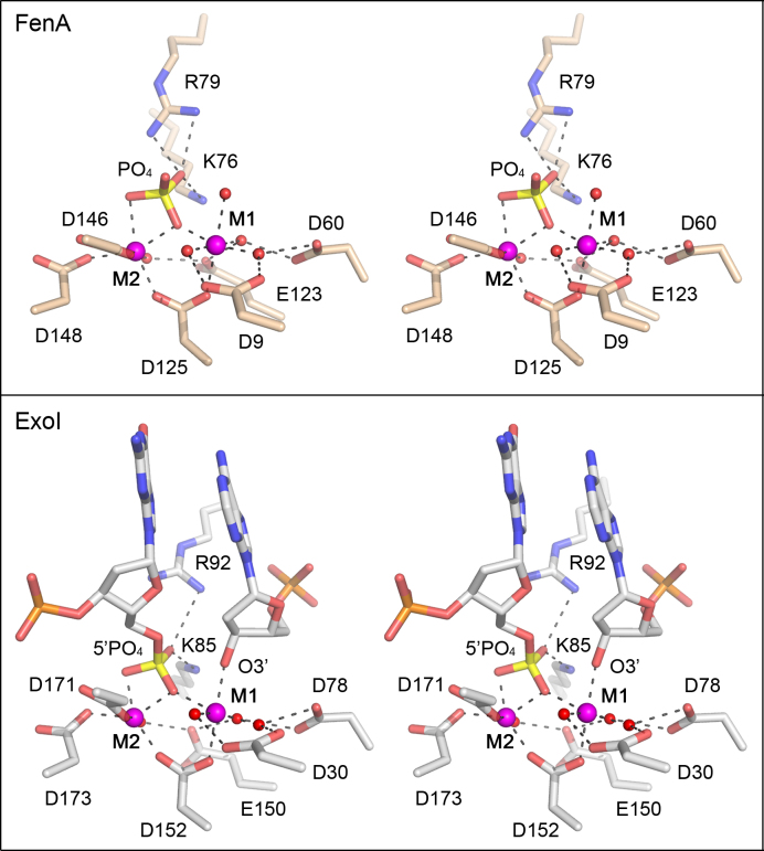 Figure 6.