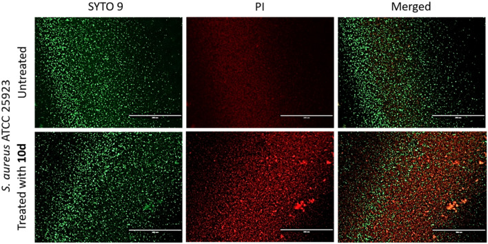 Figure 6