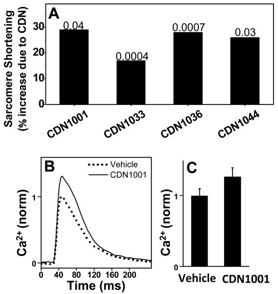 Figure 5