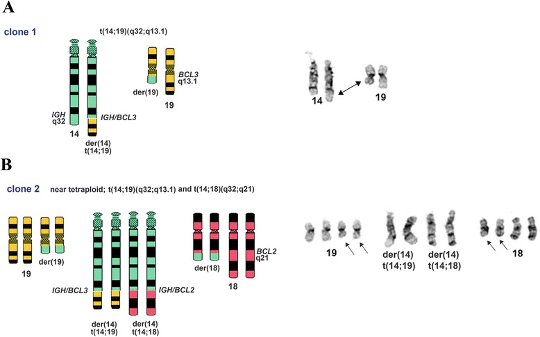 Fig. 4