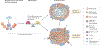 Figure 2 |
