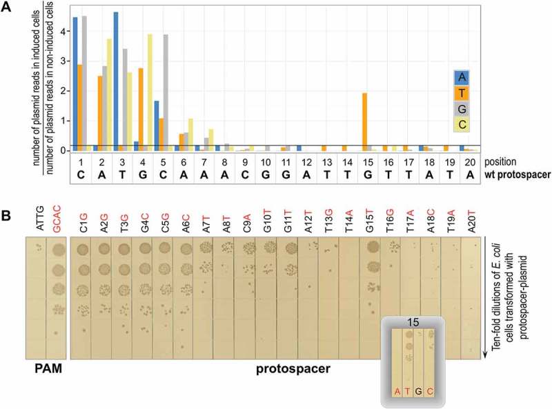 Figure 2.