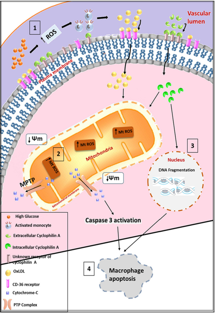 FIGURE 9