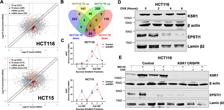 Figure 1—figure supplement 2.