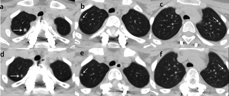 Fig. 7