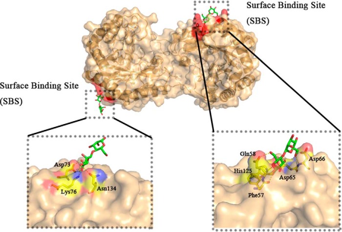 Figure 4.