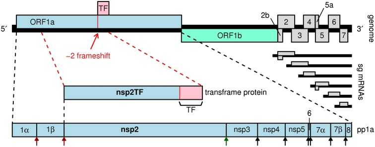 Fig. P1.