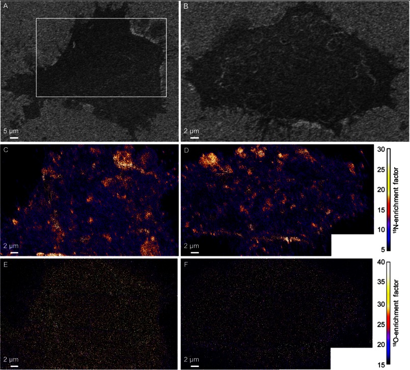 FIGURE 2.