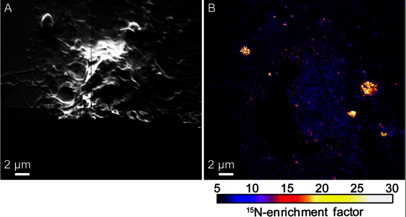 FIGURE 4.