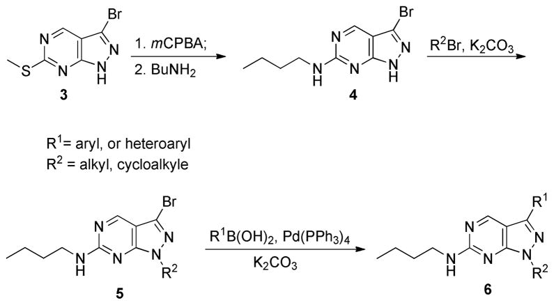 Scheme 1