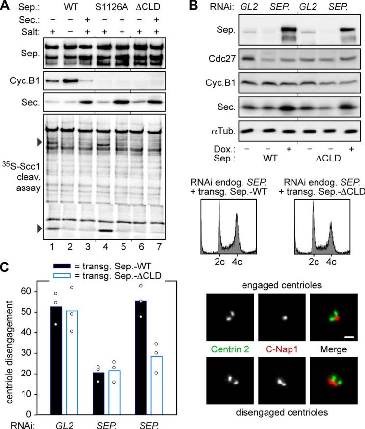 FIGURE 4.