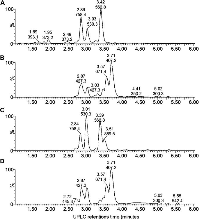 FIGURE 3