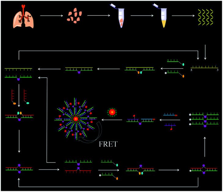 graphic file with name d1sc01865e-ga.jpg