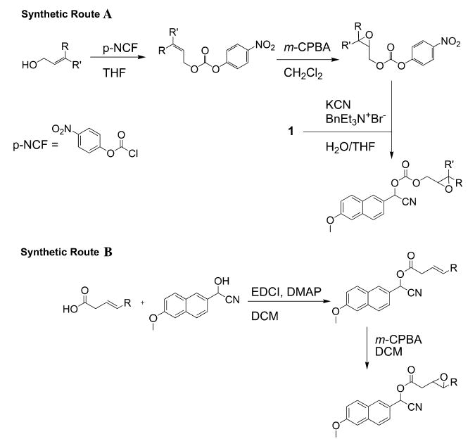 Scheme 1