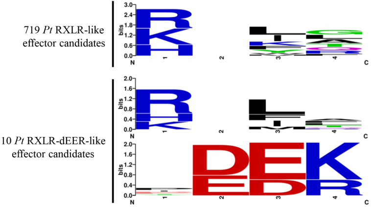 FIGURE 3