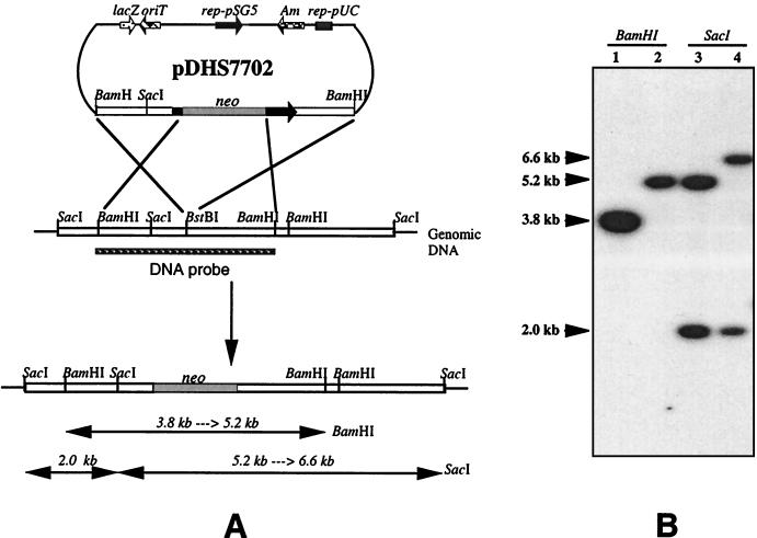 FIG. 6